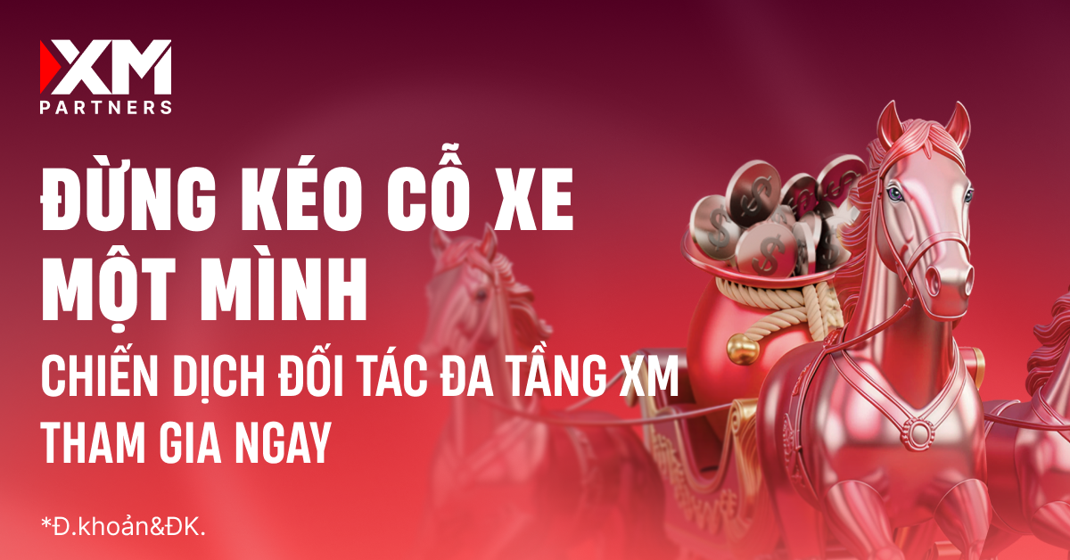 Đừng làm IB một mình – Xây dựng hệ thống đa tầng bền vững cùng XM