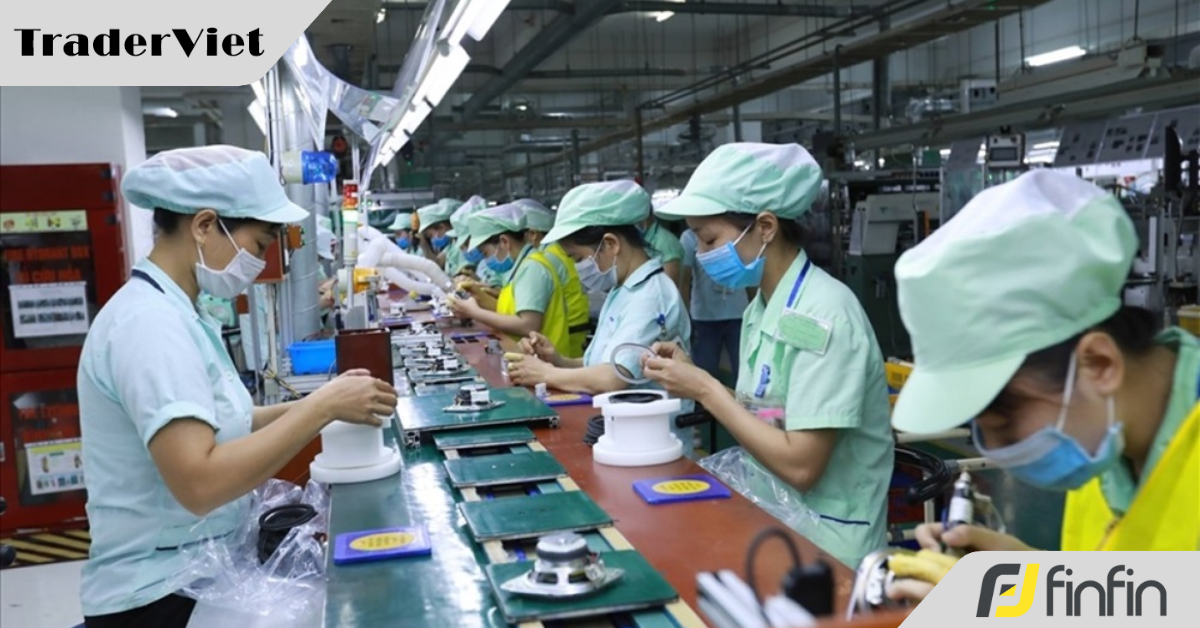 Lừa tiền của người xuất khẩu lao động “nướng” hết vào tiền “ảo”