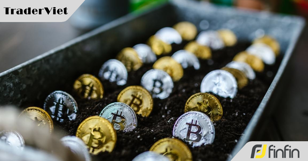 Khi 21 triệu Bitcoin được khai thác hết, điều gì sẽ xảy ra?