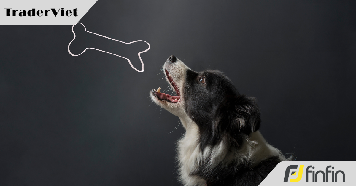 Chém gió cùng "chây dơ" (23): Giữ khúc xương đang gặm