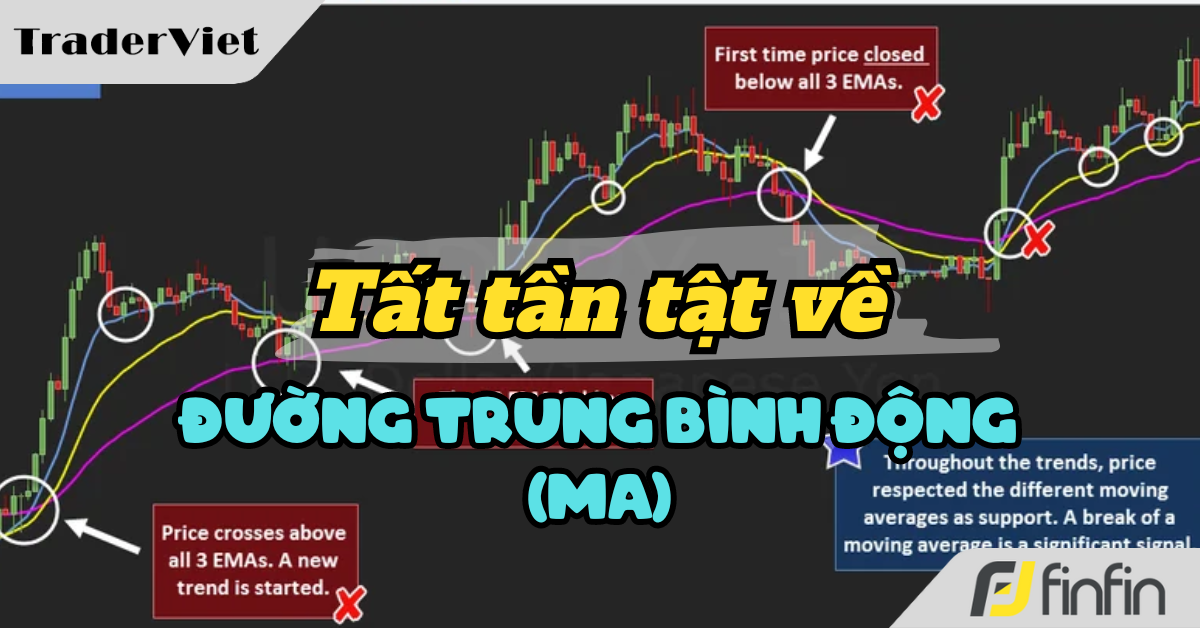 Tổng hợp toàn bộ kiến thức quan trọng nhất liên quan đến đường trung bình động (Moving Average)