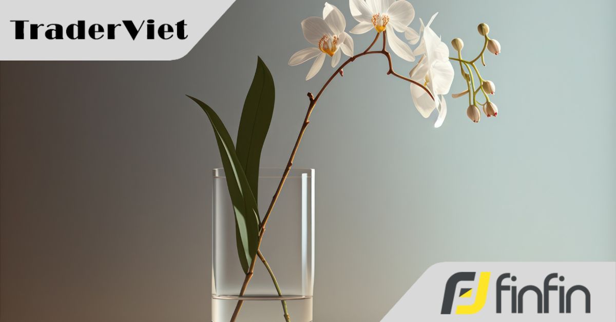 Lan đột biến tiền tỷ xuất hiện trở lại