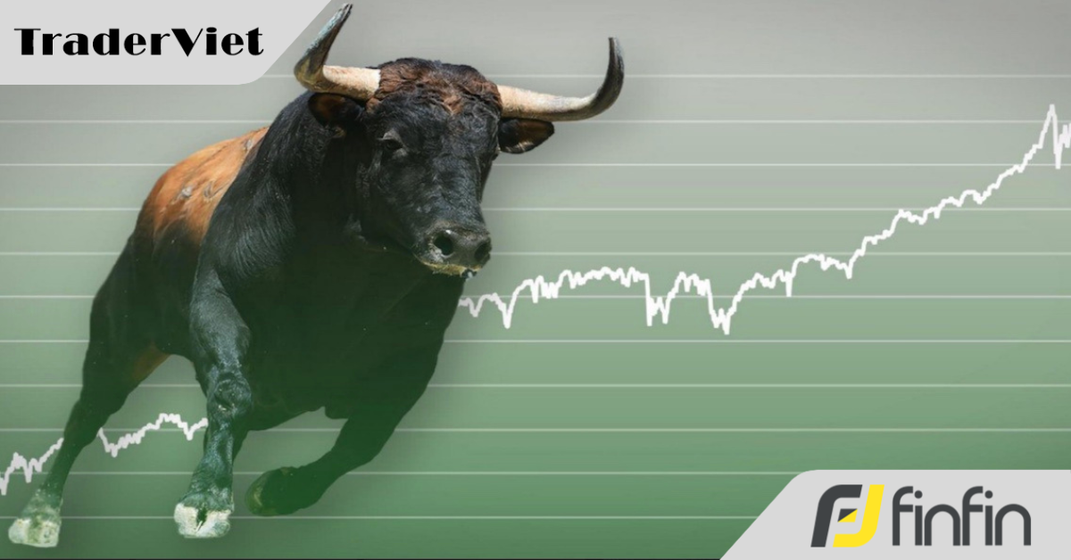 Lạc quan về thị trường, các quỹ đầu tư nắm tiền mặt ít chưa từng thấy