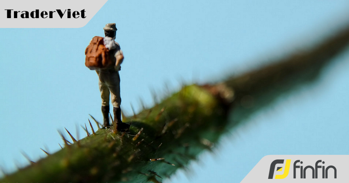 Đổ nợ vì forex, bị vợ xem thường, chàng trader quyết tâm làm lại và cái kết bất ngờ