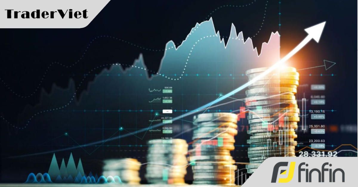 Không phải vàng, Bitcoin hay cổ phiếu, đây mới là kênh đầu tư lợi nhuận 300% mà giới siêu giàu đổ xô mua vào để giữ tiền