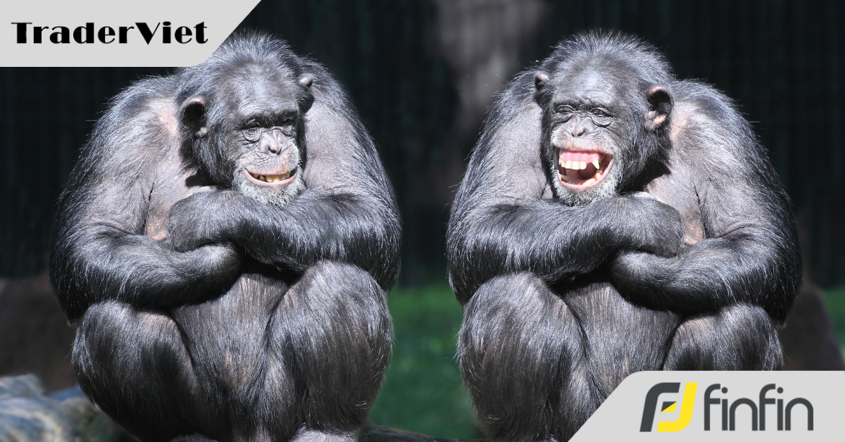 Công ty 'không làm mà cũng có ăn' bị cấm kinh doanh và cung cấp dịch vụ chứng khoán