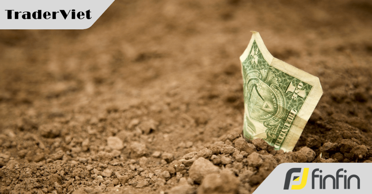 Phát hiện 13,8 tỷ đồng tiền mặt được chôn trên cánh đồng