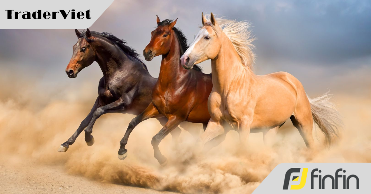 Người tuổi ngọ lừng danh trên hành trình chinh phục đỉnh cao các ngành nghề