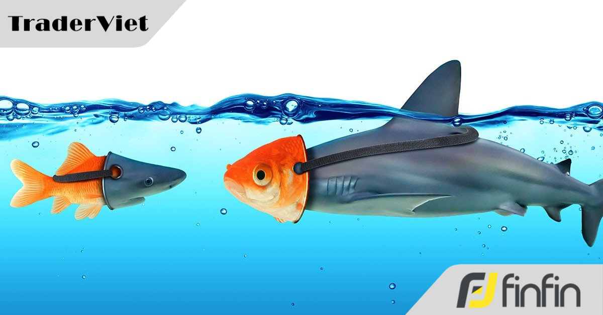 Một trùm đa cấp khiến 60.000 người sập bẫy bằng 'chiêu trò' kinh điển