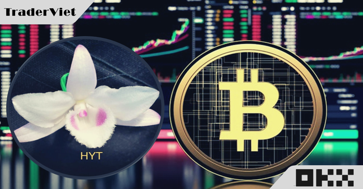 'Bitcoin giống lan đột biến'