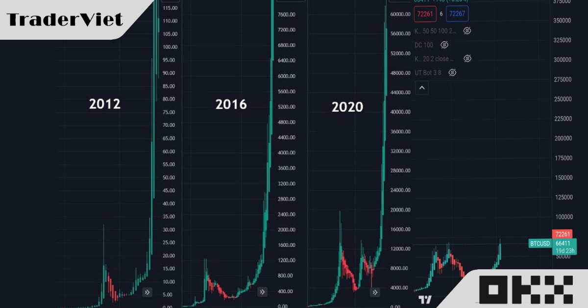 'Bull run' hiện tại của Bitcoin thách thức các mô hình lịch sử