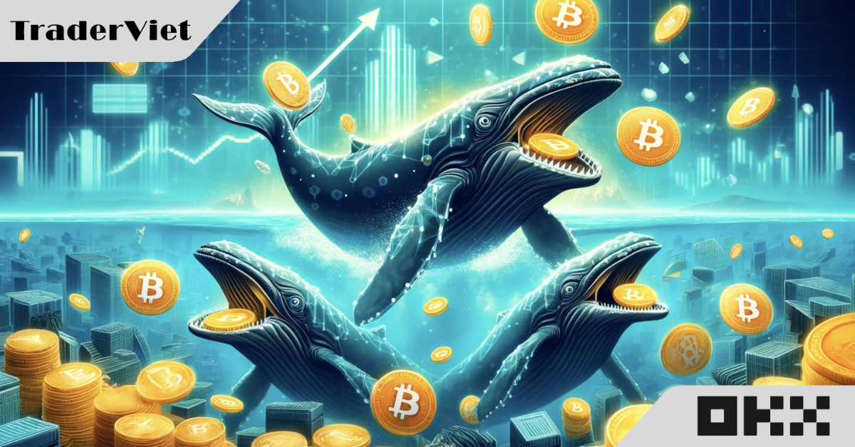 [Onchain] Khối lượng giao dịch của cá voi Bitcoin đạt mức cao nhất trong vòng 4 tháng trong giai đoạn thị trường sụt giảm