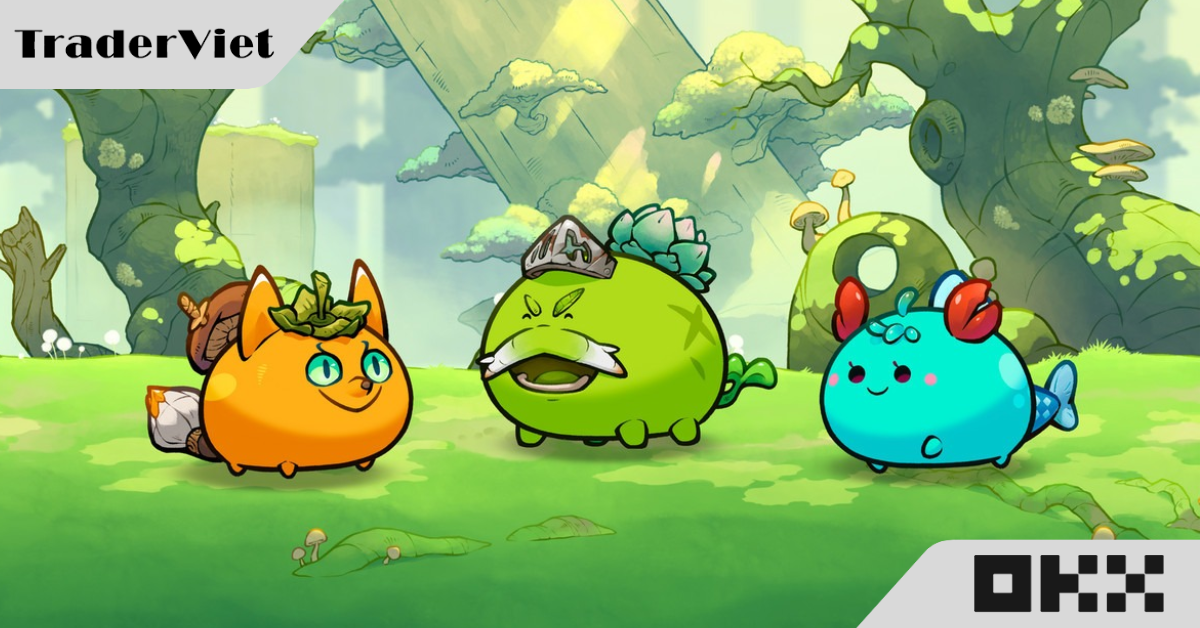 Kỳ lân blockchain Việt sa thải 21% nhân viên khi Bitcoin lập đỉnh