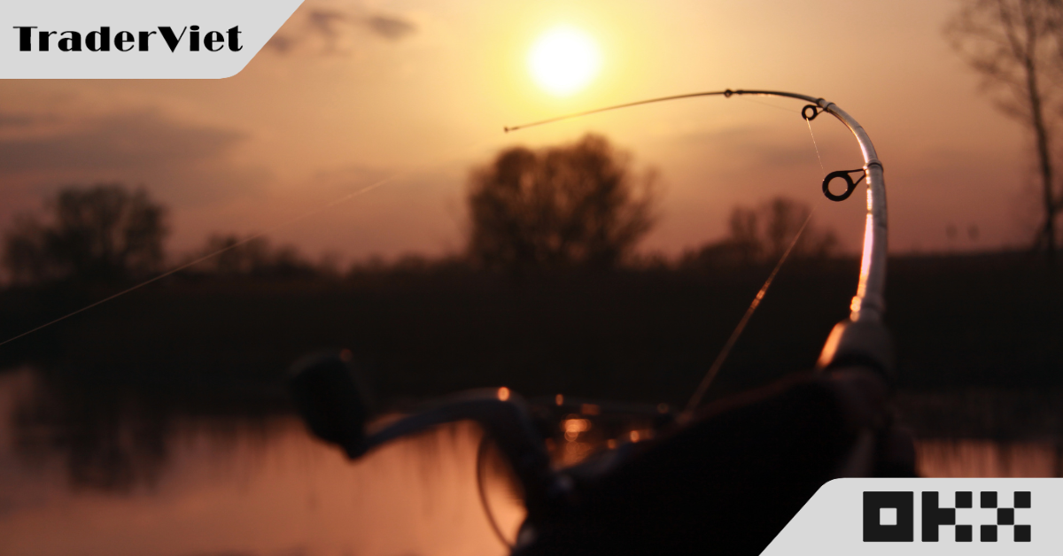 Hôm nay trade coin gì? - 18/12: Đi câu cá!!!