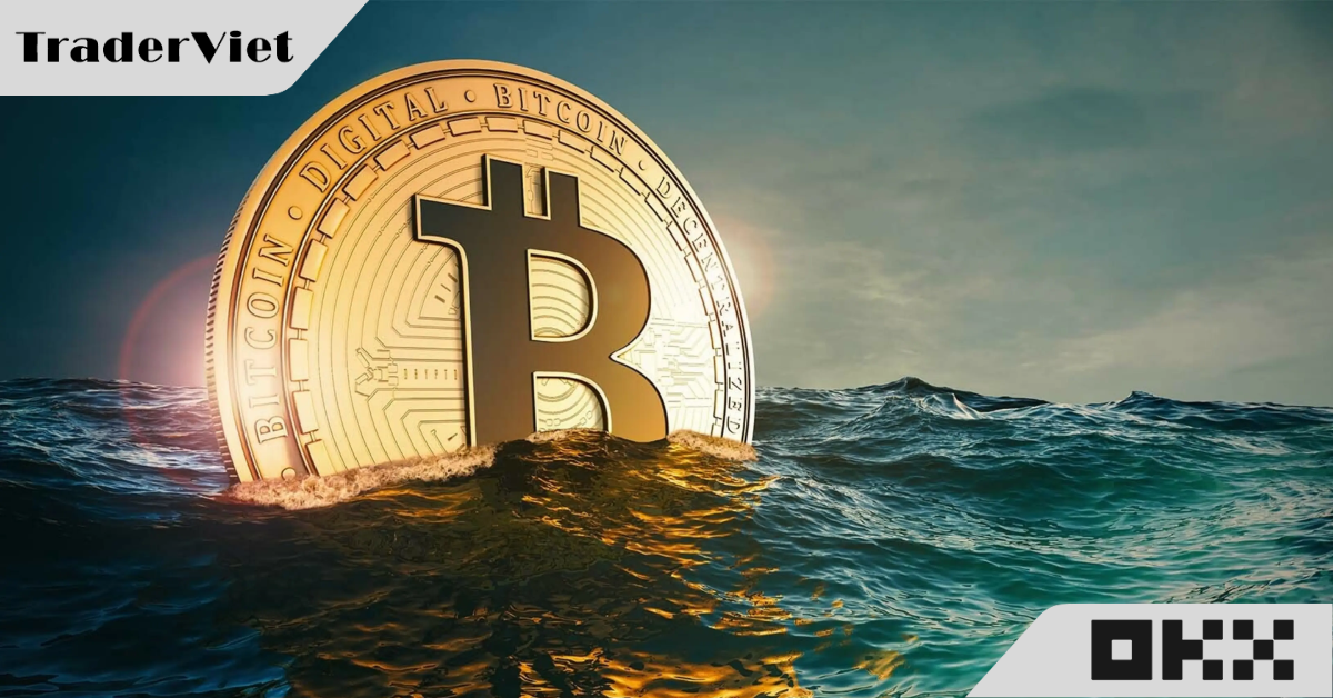 Làn sóng tích luỹ Bitcoin có kích hoạt khả năng siêu chu kỳ tăng giá?