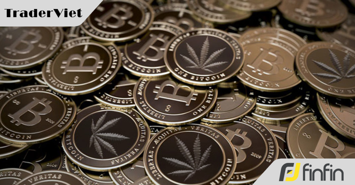 Công an triệt phá đường dây mua bán hơn 2 tạ cần sa do "coin thủ" cầm đầu