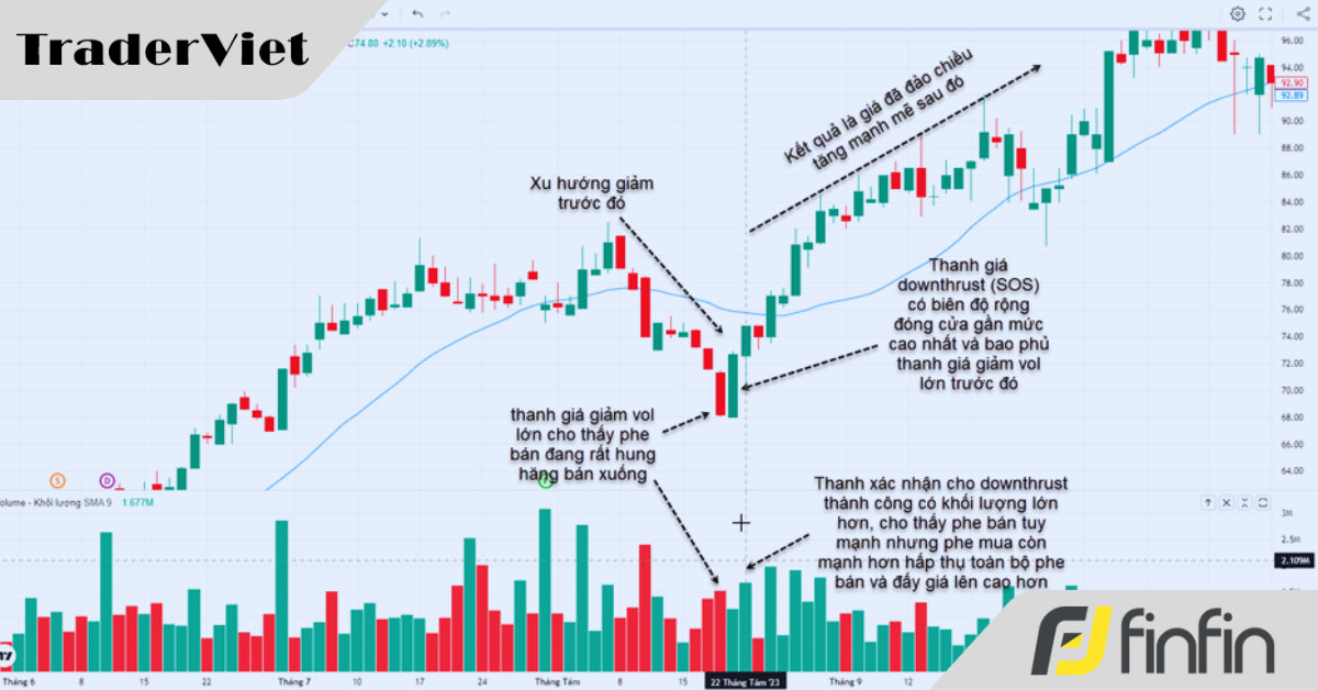 Bí Quyết VSA - Bắt đáy thành công chỉ bằng một thanh nến ít ai ngờ đến