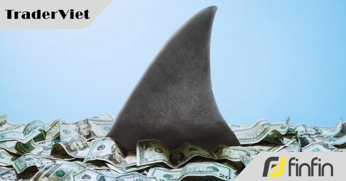 10 dấu hiệu cho thấy dòng tiền thông minh đang hành động