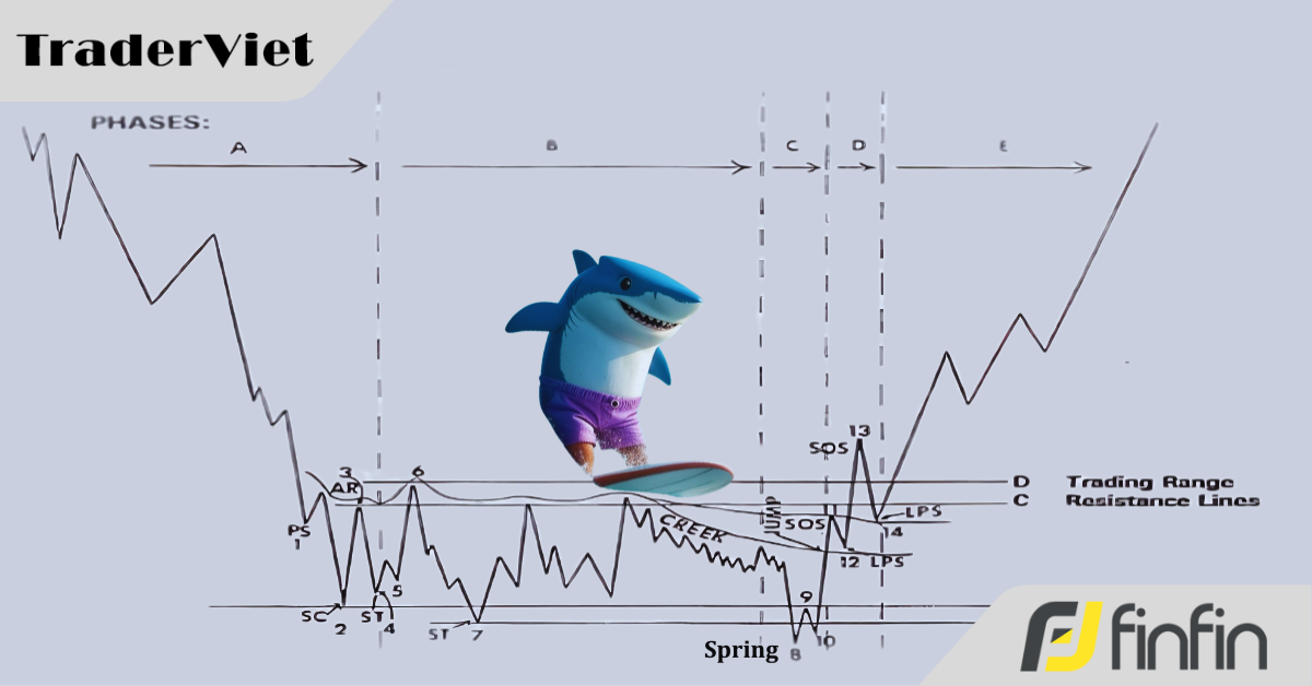 Tâm Lý Học Giai Đoạn C: "Màn Kịch" Của Smart Money Để Đọc Vị Thị Trường