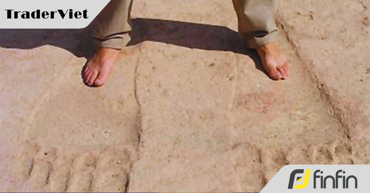 Lần theo dấu vết người khổng lồ bằng công cụ đọc thanh khoản này