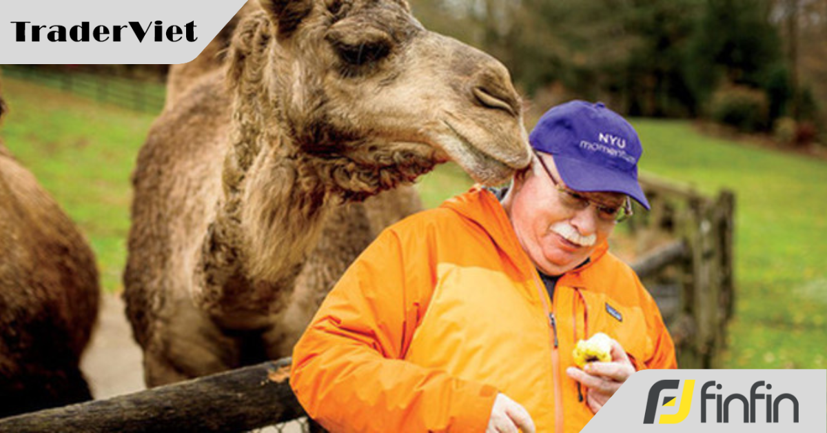 Triết lý “phớt lờ lời đồn thổi” và “tận hưởng sớm sai lầm” của ngài râu kẽm phố Wall