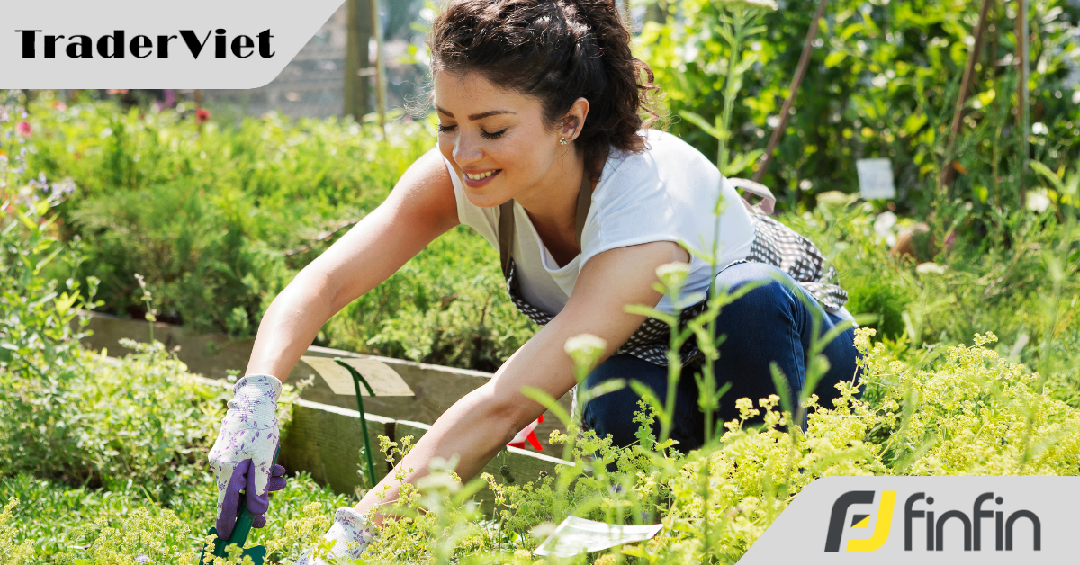 Đầu tư cũng giống như làm vườn, bạn phải nhổ cỏ dại và chăm chút những bông hoa