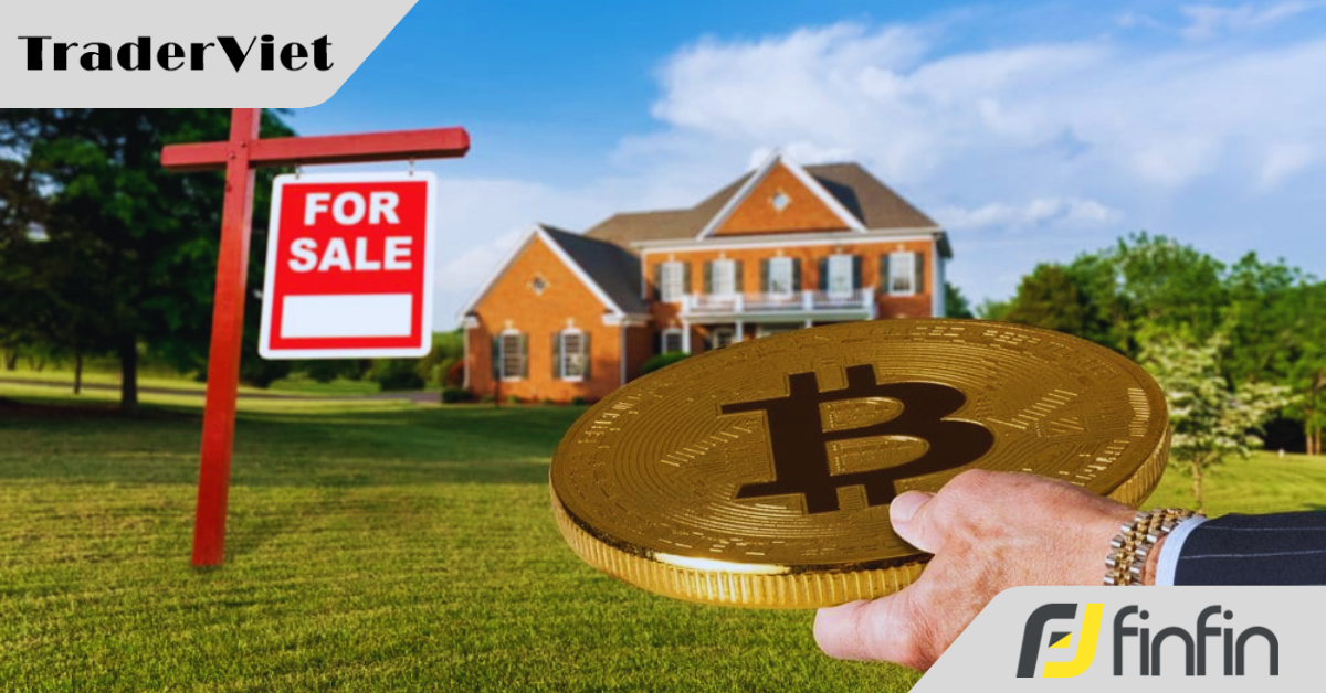 Bán căn chung cư được 5 tỷ đồng, nữ nhân viên văn phòng đầu tư cổ phiếu, tiền ảo,...một năm sau lỗ 4 tỷ: “Tôi nên đầu tư gì tiếp?”