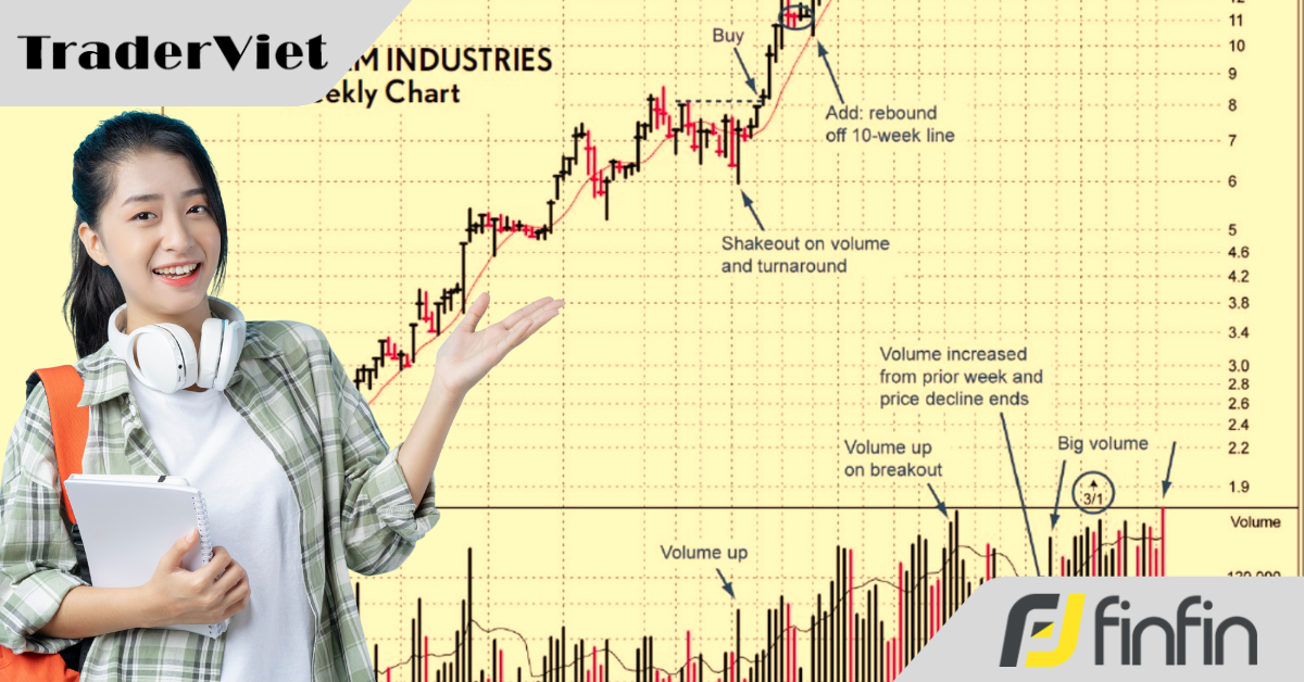 Hãy làm việc này, sự nghiệp trading của bạn sẽ sang trang mới