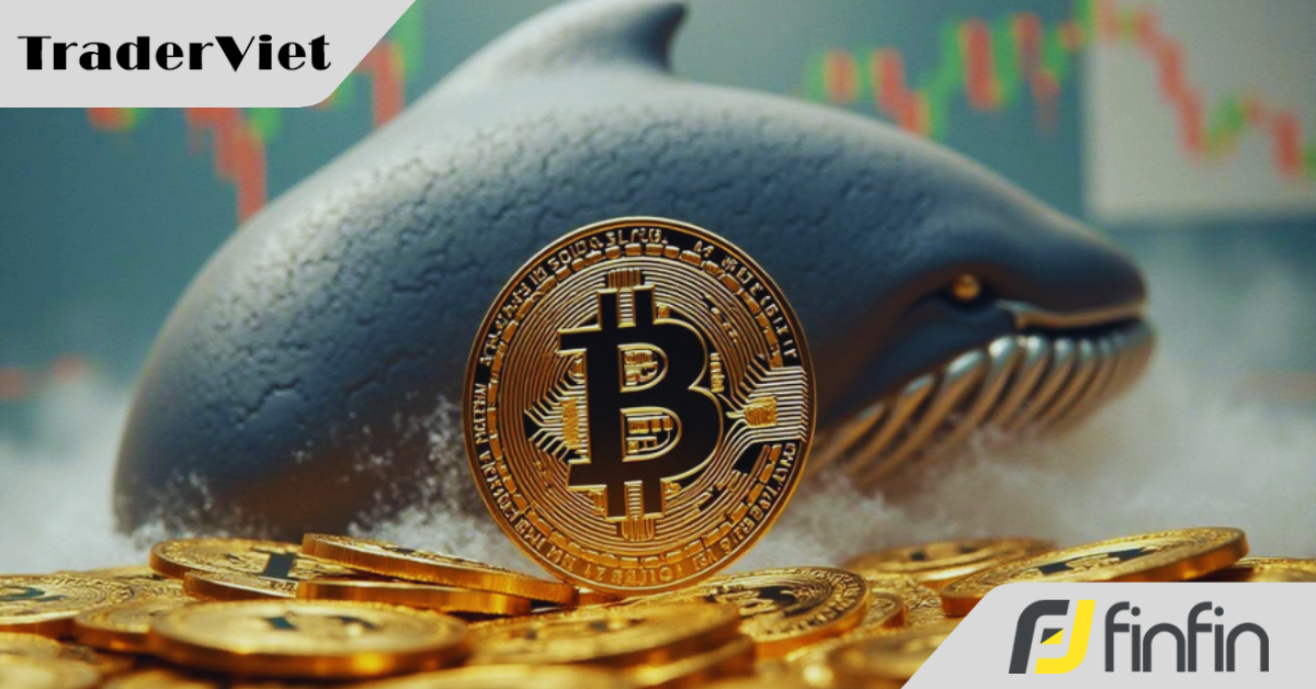 "Cá voi" Bitcoin đã gom hơn 5,3 tỷ USD kể từ giữa tháng 12