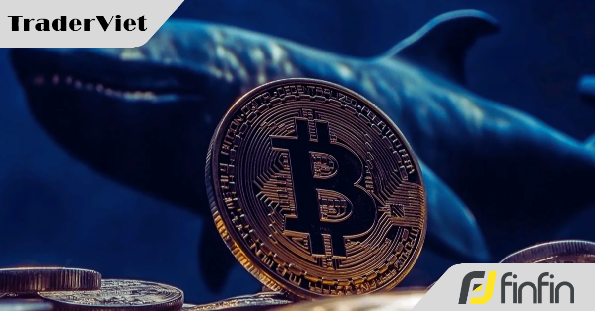 "Bitcoin báo hiệu bước ngoặt nhưng chưa có đáy rõ ràng"