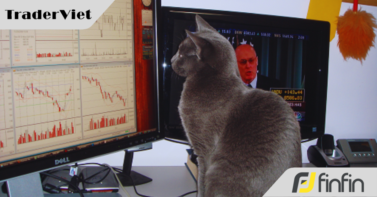 3 chiến thuật vượt thời gian của trader chuyên nghiệp Qullamaggie