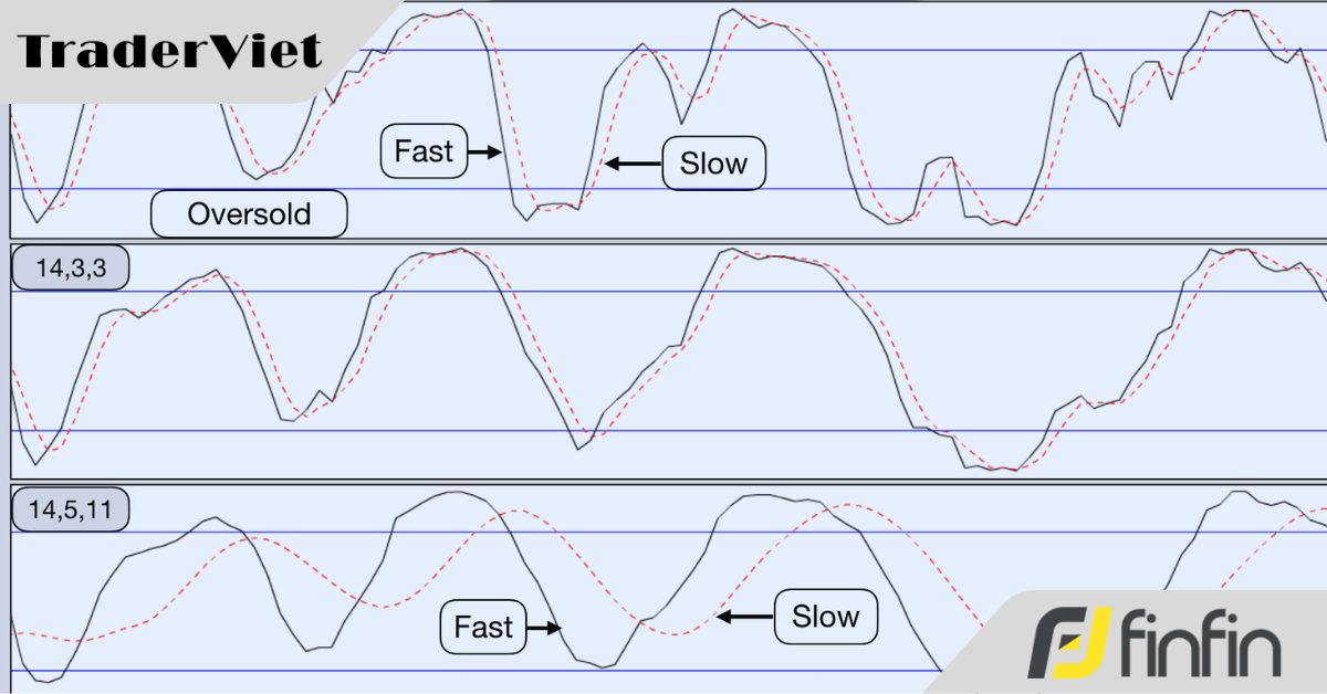 Stochastic - Vén tấm màn về những điều chưa được biết (P2)