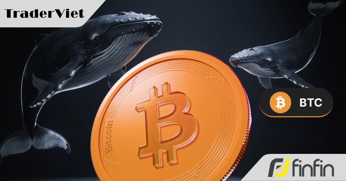 'Cá voi' Bitcoin bán khống 70 triệu USD