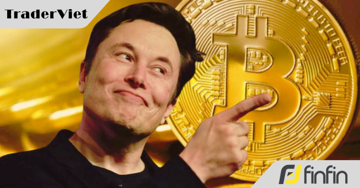 Elon Musk lộ kho Bitcoin 1,45 tỷ USD trước thềm IPO