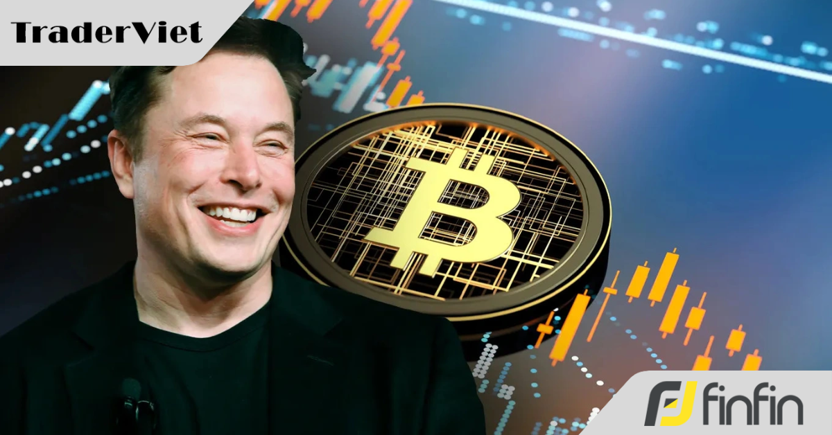 Sáp nhập Tesla - SpaceX: Elon Musk sắp thành “cá voi” bitcoin hơn 2 tỷ USD?