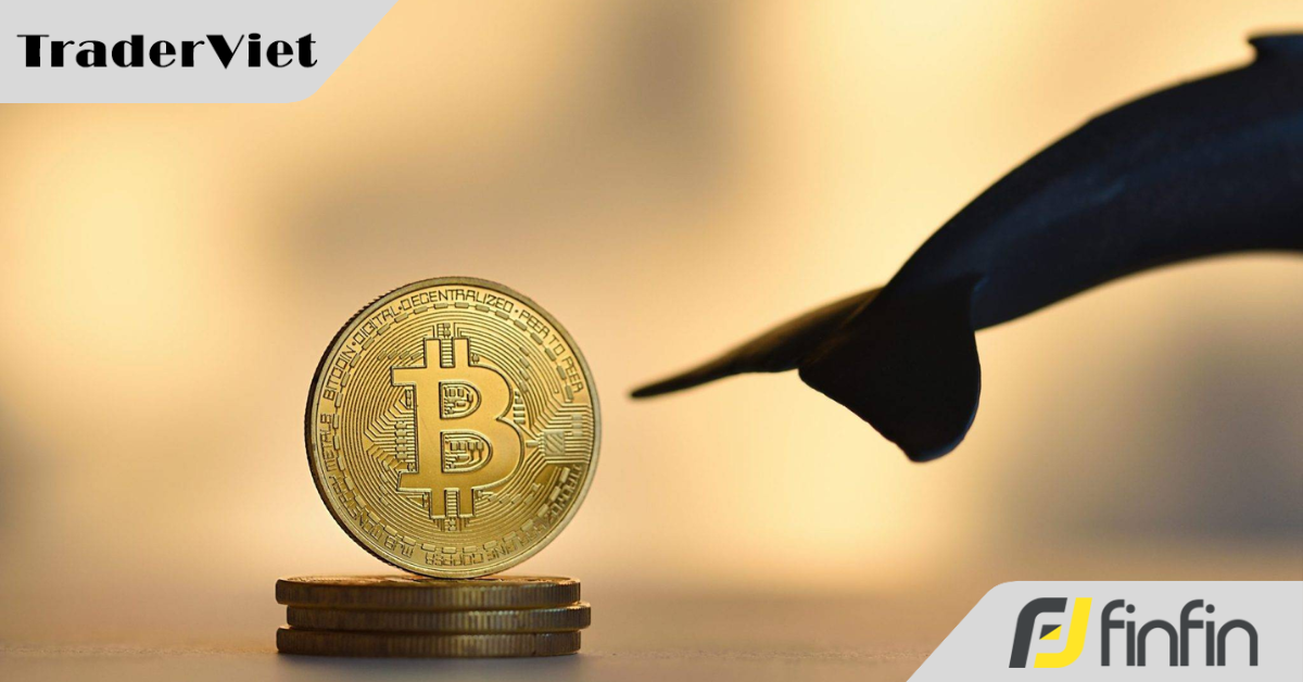 "Cá voi" Bitcoin ngủ đông 7 năm bất ngờ thức giấc thực hiện một bước đi khiến thị trường tiền số rúng động
