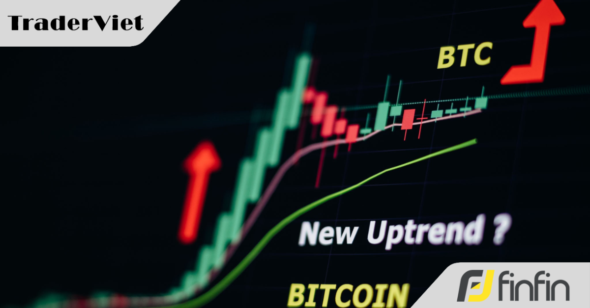 Nghịch lý Bitcoin: Giá hồi phục nhưng tâm lý thị trường lại "Sợ hãi tột độ" — Bẫy bò hay đáy thực sự?