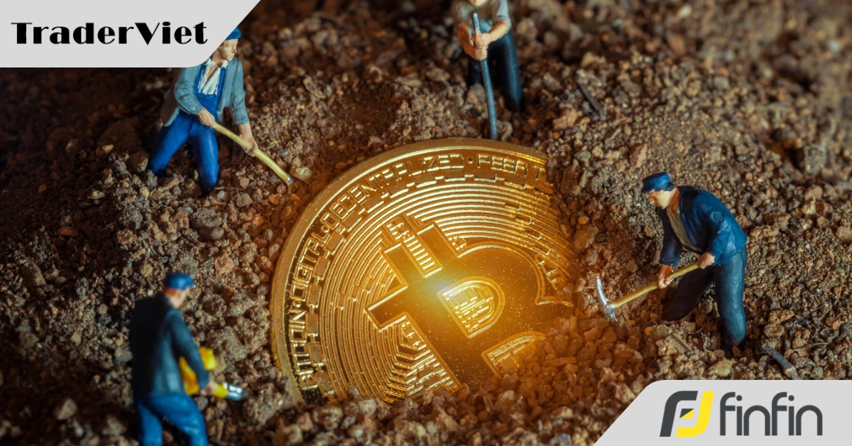 Vì sao thợ đào Bitcoin cá nhân hết cửa làm giàu?