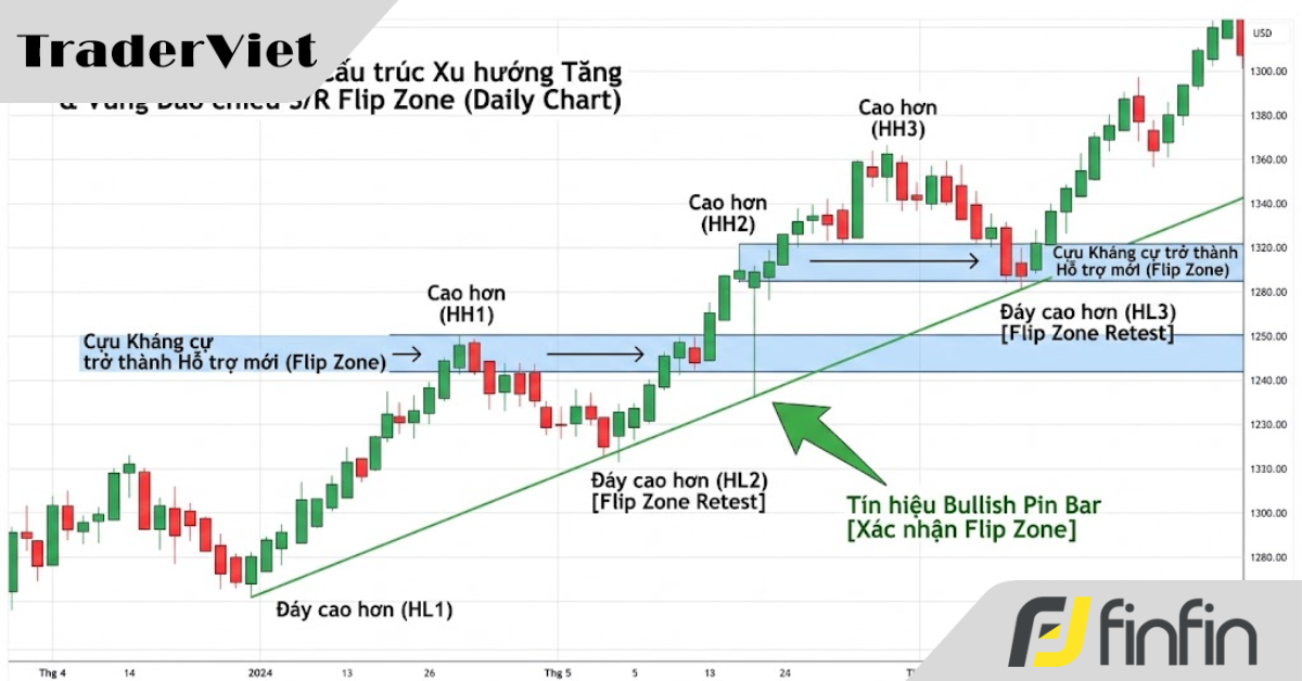 Hành trình trở thành Price Action trader: Từ "kẻ nghiện Indicator" đến "sát thủ đồ thị trơn"