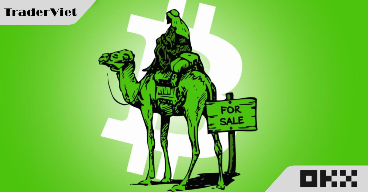 Chính phủ Mỹ sẽ bán 4,4 tỷ USD Bitcoin tịch thu từ Silk Road?