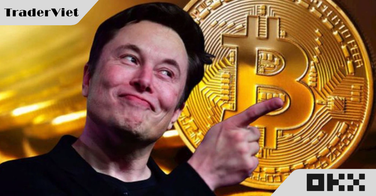 Động thái khác thường của Elon Musk với Bitcoin