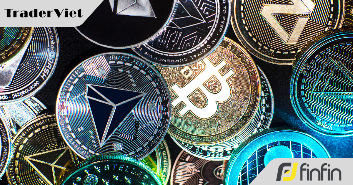 Hôm nay trade coin gì? - 26/11: Đang "cá hồi"