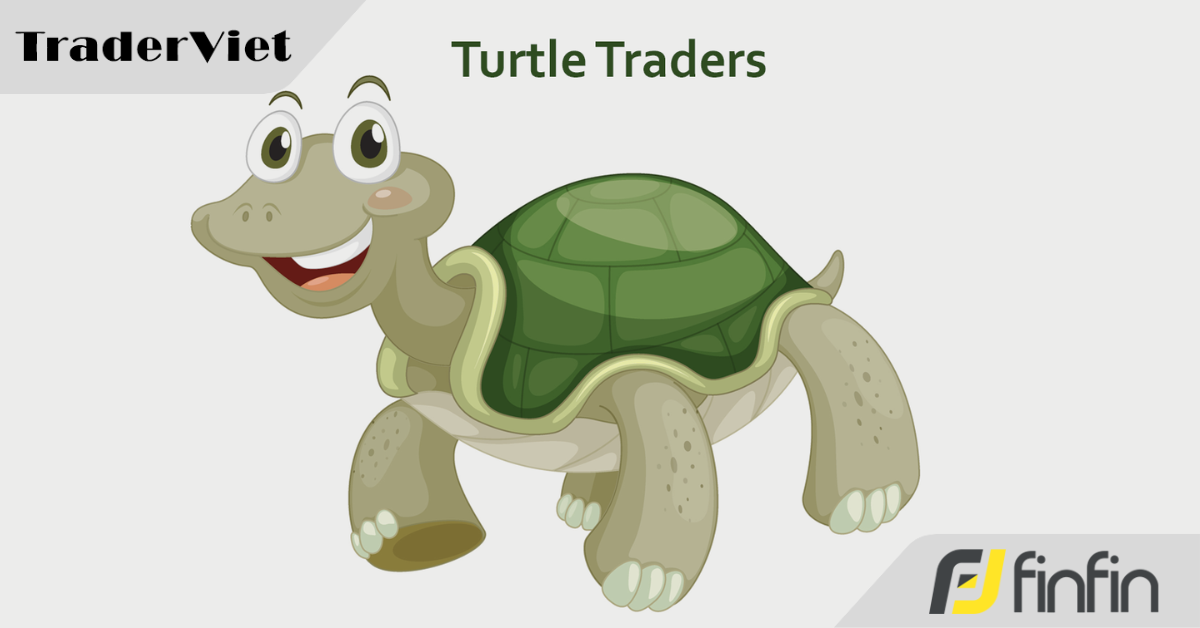 Nếu muốn trở thành một "Turtle Traders" chuẩn chỉnh, bạn cần tuân thủ nghiêm ngặt các bước sau