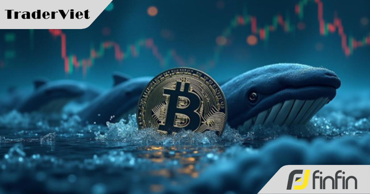 Các 'cá voi' đang rời Bitcoin
