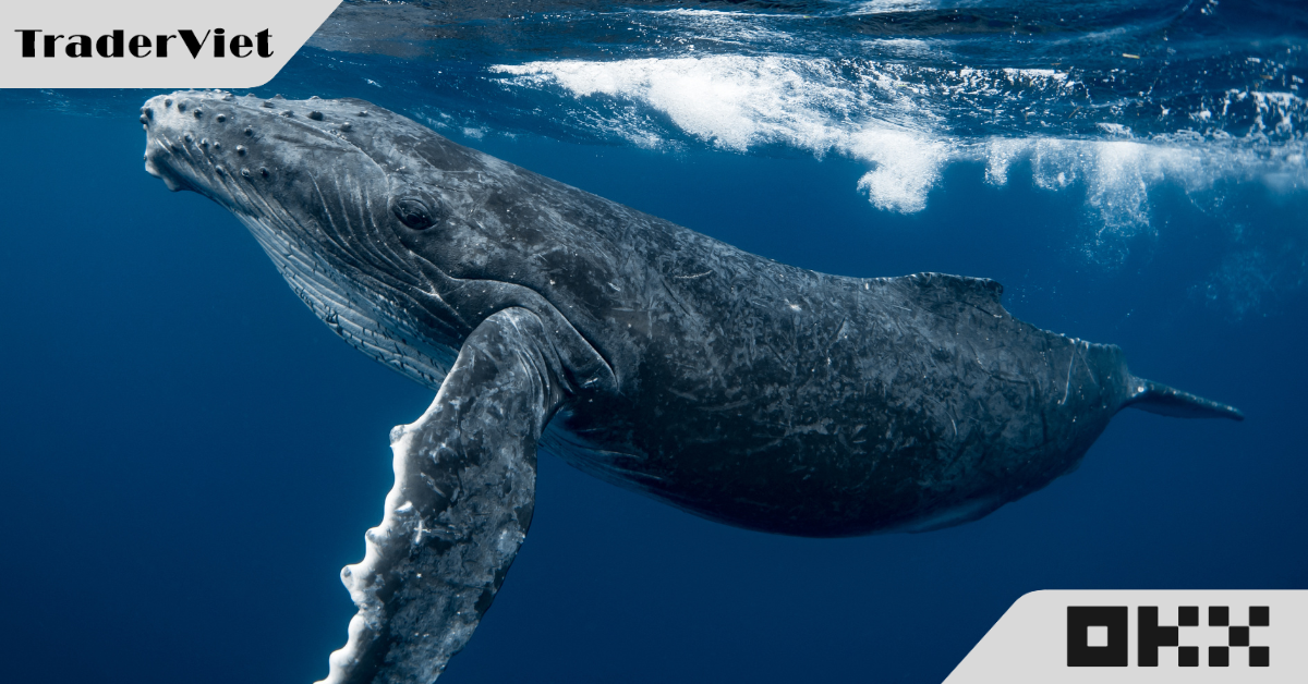 Từng gọi Bitcoin là lừa đảo, Warren Buffett và loạt "ông trùm" giờ nói gì khi đồng tiền này tăng vọt?