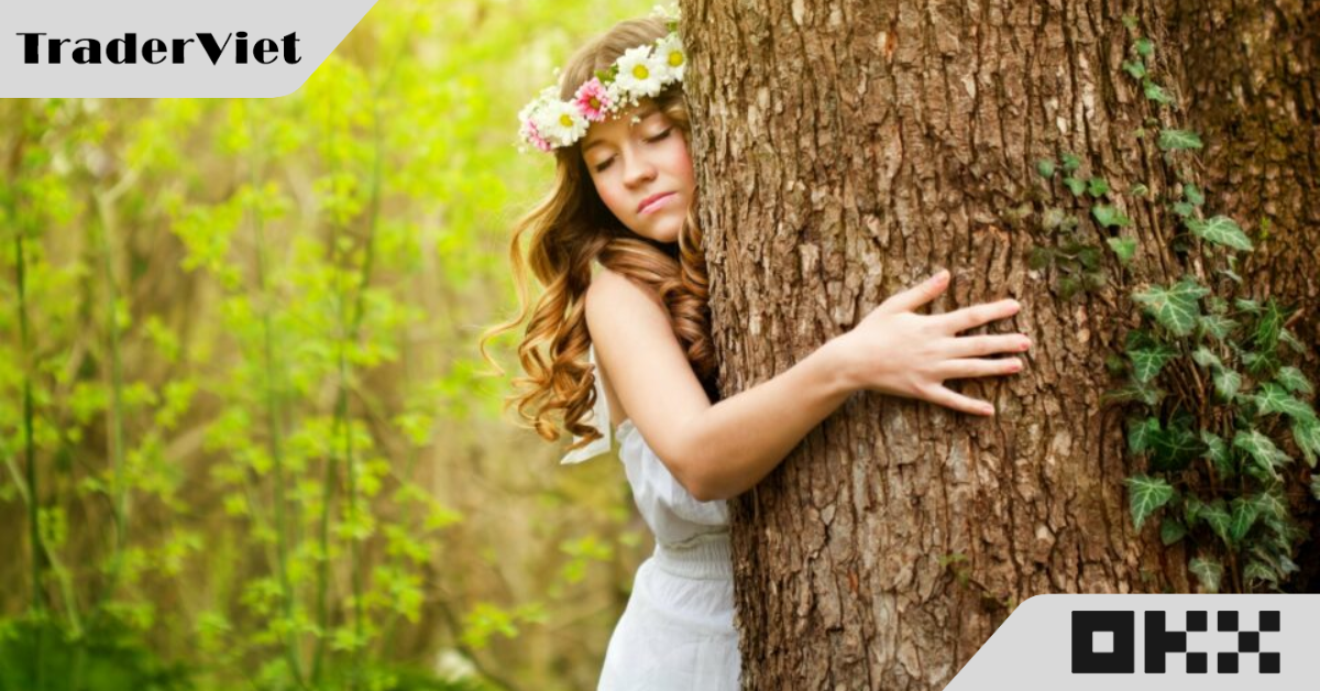 'Ôm cây đợi thỏ' chờ trúng Bitcoin