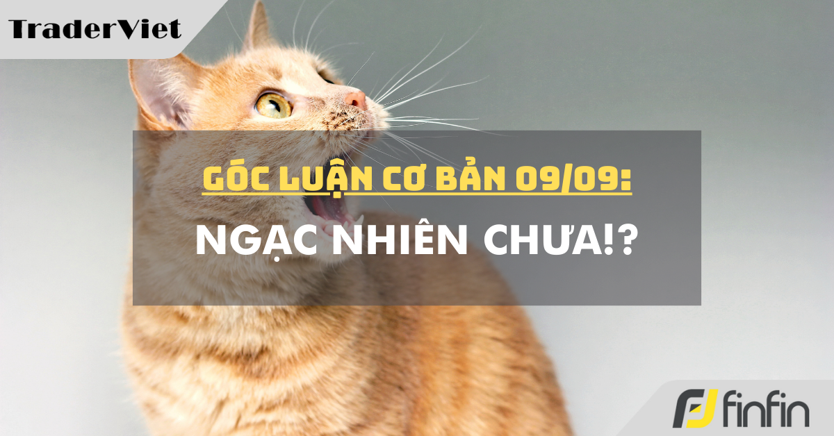 Góc luận Cơ bản 09/09: Ngạc nhiên chưa!?