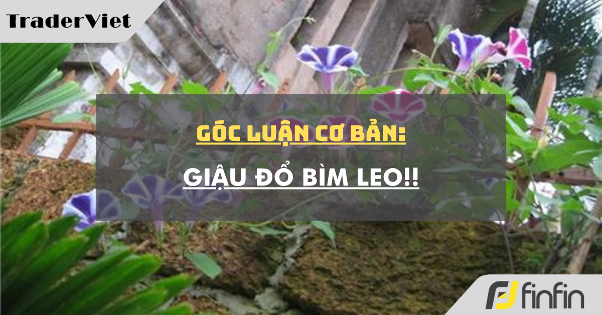 Góc luận Cơ bản 04/08: Giậu đổ Bìm leo!!