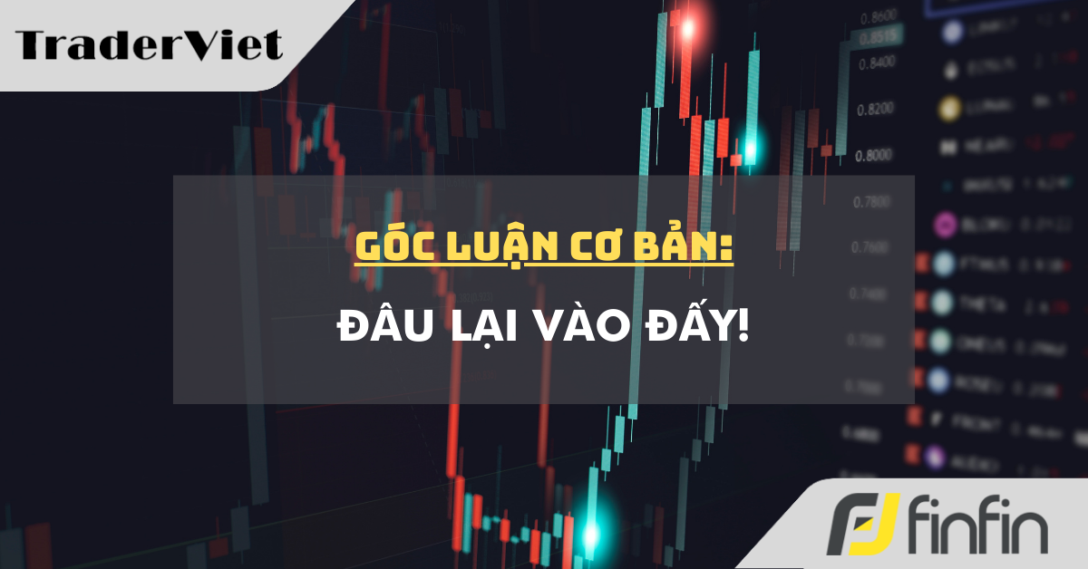Góc luận Cơ bản 25/02: Đâu lại vào đấy!