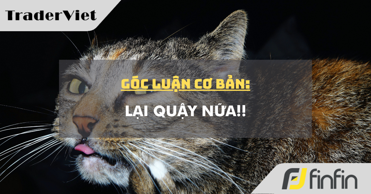 Góc luận Cơ bản 08/07: Lại quậy nữa!!